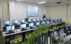 计算机技术培训与咨询 解锁数字化时代的核心能力